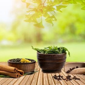 Buy Herbal Products online