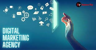 seo Agency