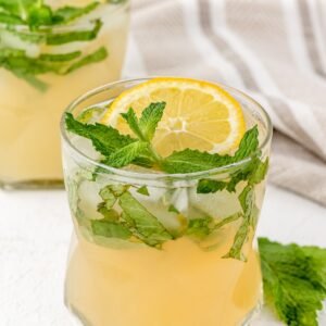 Fresh Lemon Mojito
