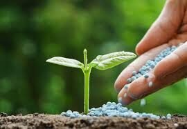 Fertiliser